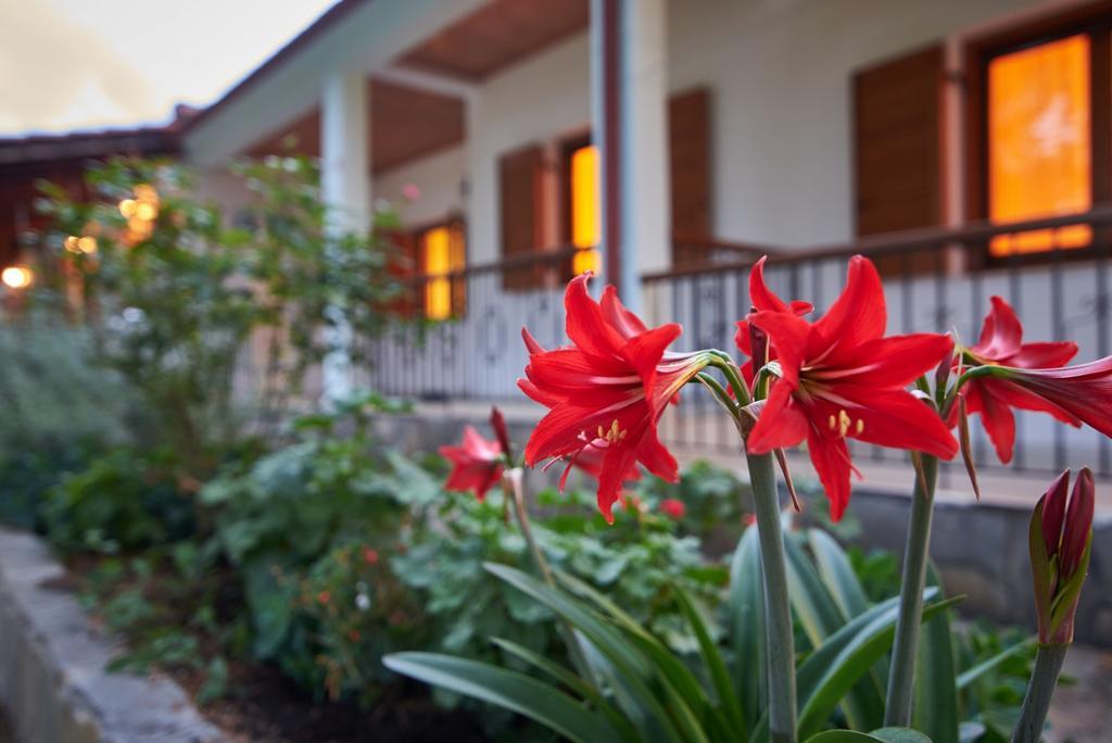 House Rena Apartment Vourvourou Luaran gambar